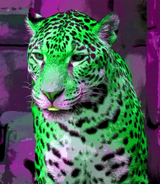 Pop Art Jaguar Ikona Kolorowymi Plamami — Zdjęcie stockowe