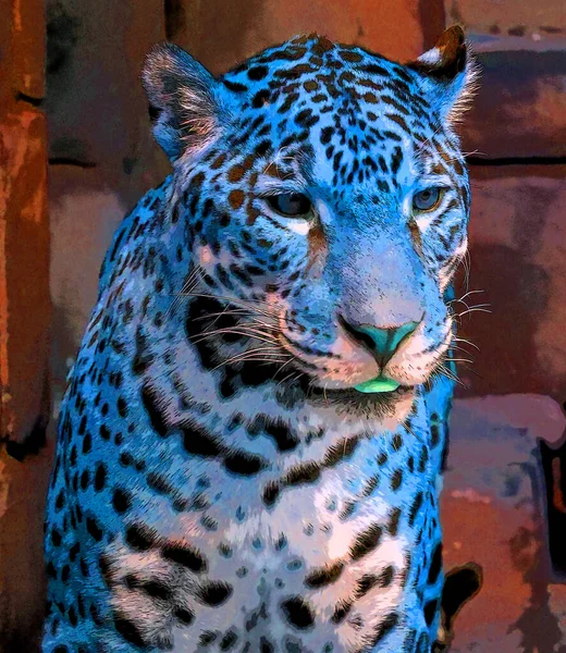 Pop Konst Jaguar Ikon Med Färgfläckar — Stockfoto