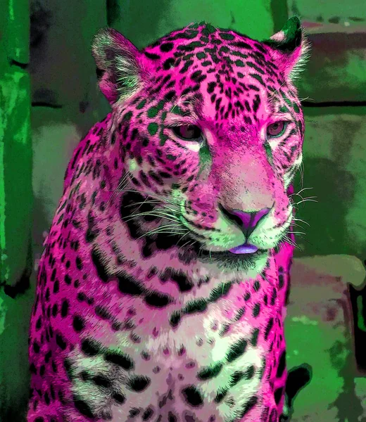 Renkli Pop Art Jaguar Simgesi — Stok fotoğraf