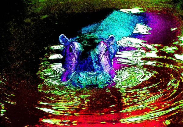 Hippopotame Dans Illustration Signe Eau Pop Art Icône Fond Avec — Photo
