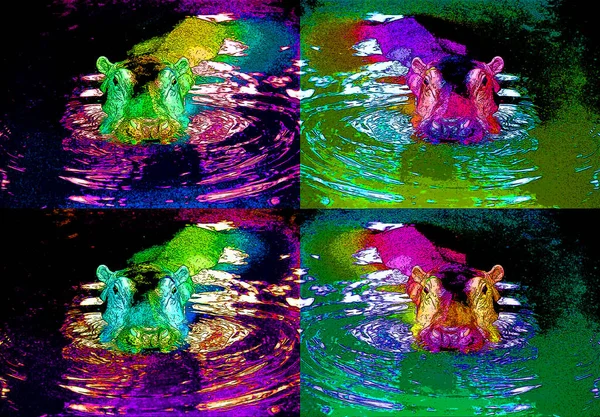 Hippopotamus Water Sign Illustration Pop Art Φόντο Εικονίδιο Χρώμα Κηλίδες — Φωτογραφία Αρχείου