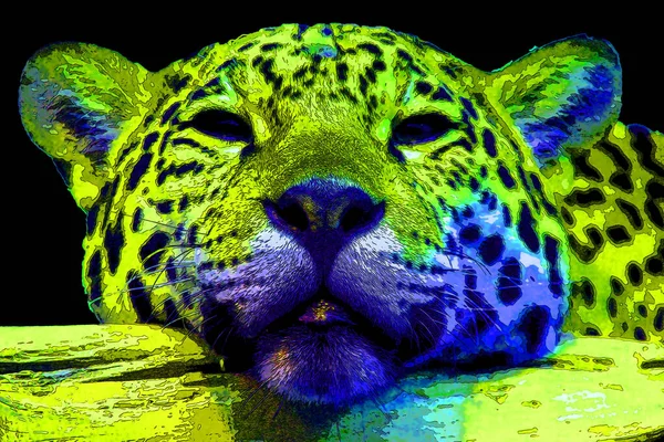 Εικονίδιο Jaguar Pop Art Κηλίδες Χρώματος — Φωτογραφία Αρχείου