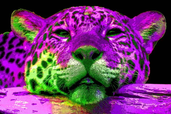 Εικονίδιο Jaguar Pop Art Κηλίδες Χρώματος — Φωτογραφία Αρχείου