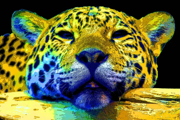 Pop Konst Jaguar Ikon Med Färgfläckar — Stockfoto
