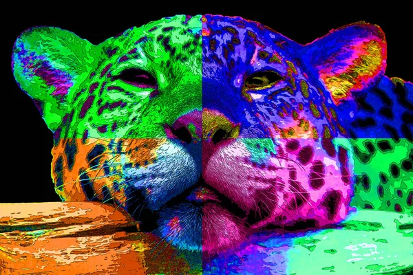 Εικονίδιο Jaguar Pop Art Κηλίδες Χρώματος — Φωτογραφία Αρχείου