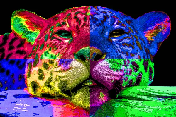 Pop Art Jaguar Ikone Mit Farbflecken — Stockfoto