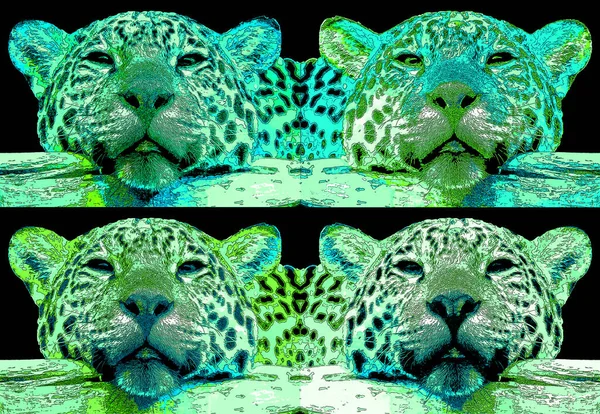 Pop Art Icono Jaguar Con Manchas Color —  Fotos de Stock