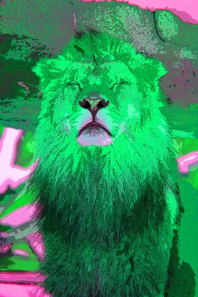 Lion Segno Illustrazione Pop Art Icona Sfondo Con Macchie Colore — Foto Stock