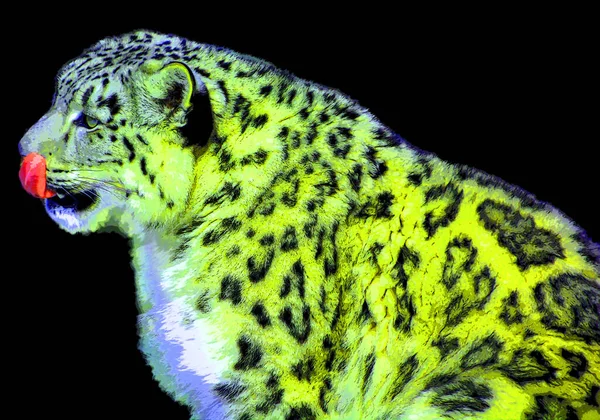 Snow Leopard Sign Illustration Pop Art Background Icon Color Spots — Stock Photo, Image