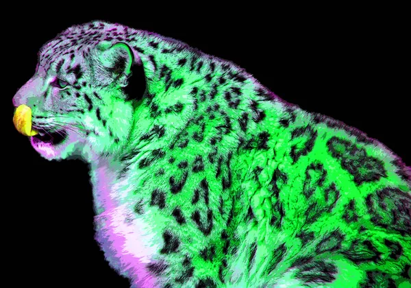 Snö Leopard Tecken Illustration Pop Art Bakgrund Ikon Med Färgfläckar — Stockfoto