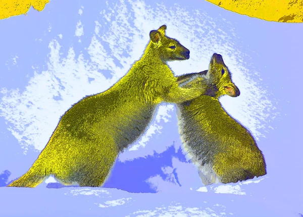 Wallaby Sinal Ilustração Pop Art Ícone Fundo Com Manchas Cor — Fotografia de Stock