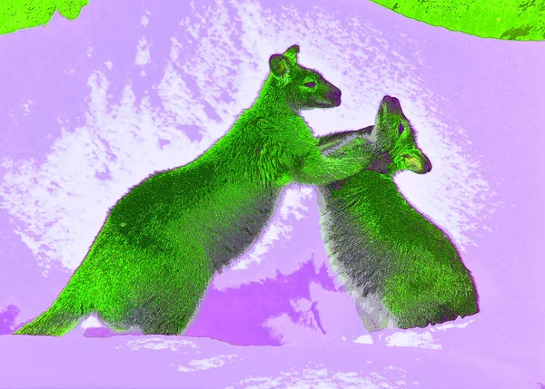 Wallaby Sinal Ilustração Pop Art Ícone Fundo Com Manchas Cor — Fotografia de Stock