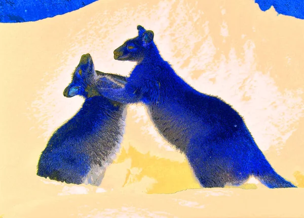 Wallaby Zeichen Illustration Pop Art Hintergrund Symbol Mit Farbflecken — Stockfoto