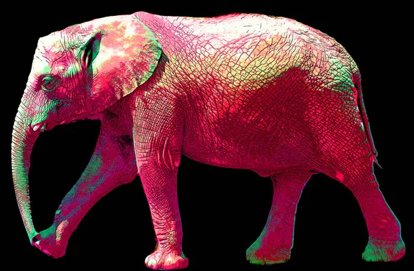 Pop Art Icône Éléphant Avec Des Taches Couleur — Photo