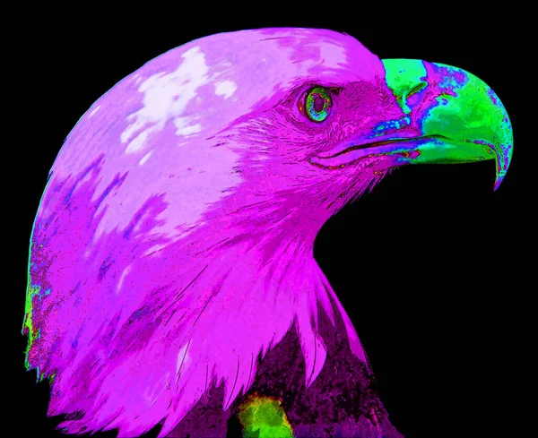 美国秃鹰标志 带有鲜明色彩的流行艺术背景图标 — 图库照片