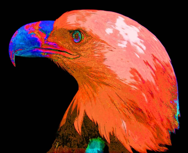 Amerikanische Weißkopfseeadler Zeichen Illustration Pop Art Hintergrund Symbol Mit Lebendigen — Stockfoto