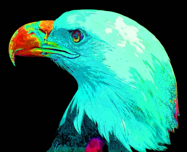 American Bald Eagle Sign Illustration Pop Art Background Icon Vivid — Stockfoto