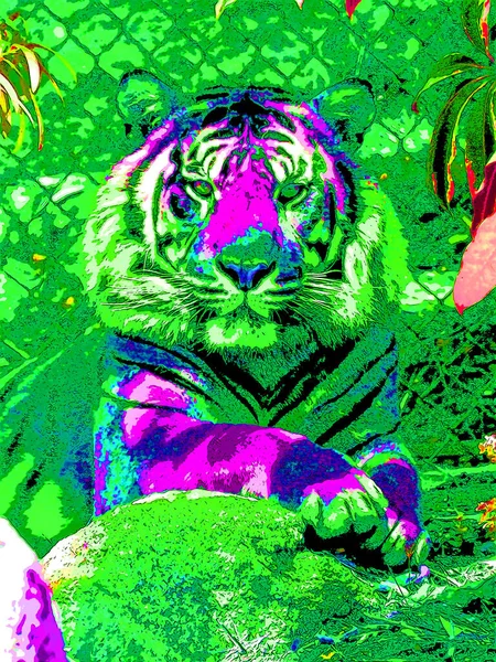 Tiger Tecken Illustration Pop Art Bakgrund Ikon Med Färg Fläckar — Stockfoto