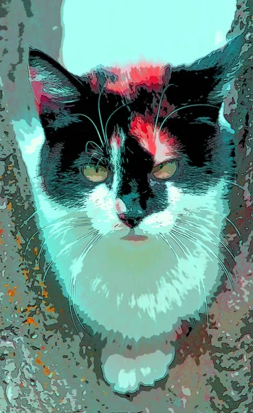 Маленький Милий Кіт Огорожі Патагонії Аргентина Знак Ілюстрацій Поп Арту — стокове фото