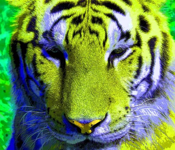 Tiger Zeichen Illustration Pop Art Hintergrund Symbol Mit Farbflecken — Stockfoto