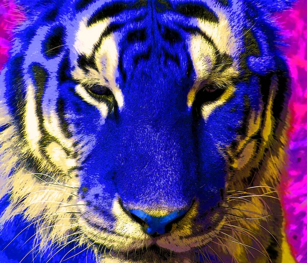 Tiger Zeichen Illustration Pop Art Hintergrund Symbol Mit Farbflecken — Stockfoto