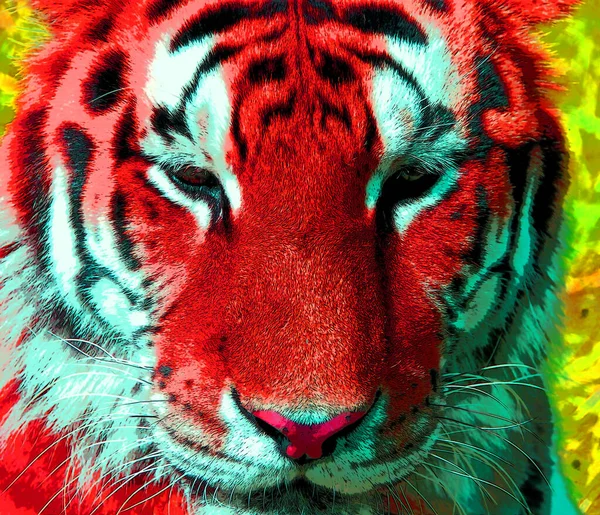 Tigre Signo Ilustración Pop Art Icono Fondo Con Manchas Color — Foto de Stock