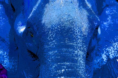 Renkli Pop Art Asyalı fil simgesi.