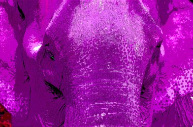 Renkli Pop Art Asyalı fil simgesi.