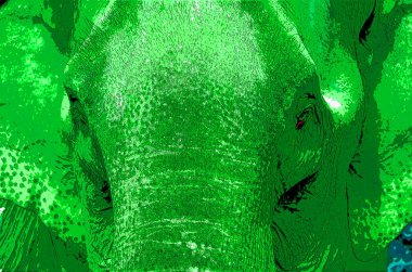 Renkli Pop Art Asyalı fil simgesi.