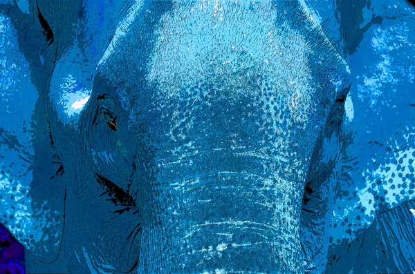 Pop Art Asian Elephant Icon Color Spots — ストック写真