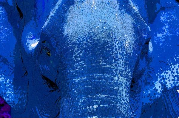 Renkli Pop Art Asyalı fil simgesi.