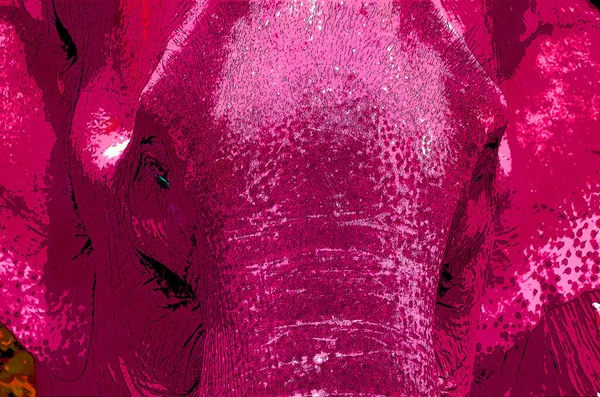 Renkli Pop Art Asyalı fil simgesi.