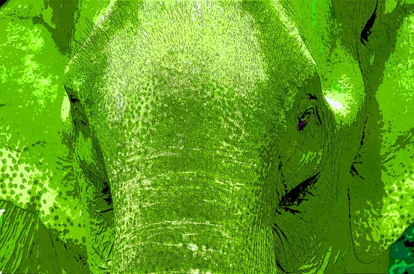Pop Art Asian Elephant Icon Color Spots — Foto Stock