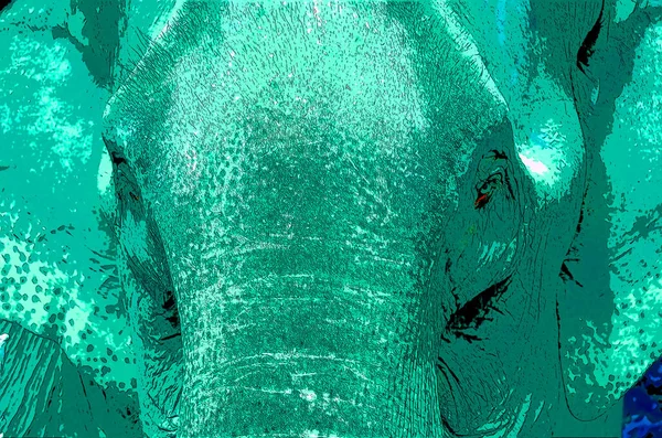 Pop Art Asian Elephant Icon Color Spots — Stock Photo, Image