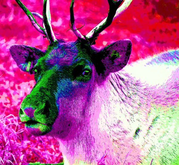 Reindeer Pada Ikon Latar Belakang Seni Pop Dengan Bintik Hitam — Stok Foto