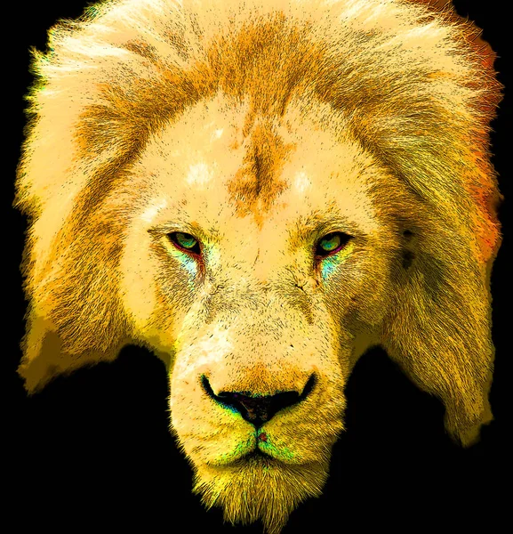 Lion Head Illustration Pop Art Style Icon Color — ストック写真