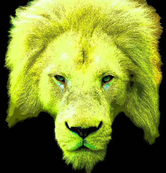 Lion Head Illustration Pop Art Style Icon Color — Photo