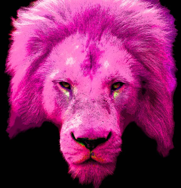 Lion Head Illustration Pop Art Style Icon Color — Foto Stock