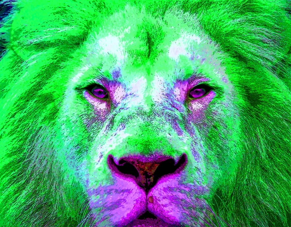 Lion Head Illustration Pop Art Style Icon Color — Stock fotografie