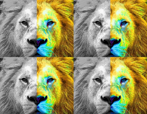 Lion Head Illustration Pop Art Style Set Icon Color — ストック写真