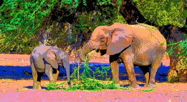 Desert Elephants Distinct Species Elephant African Bush Elephants Loxodonta Africana — Fotografia de Stock