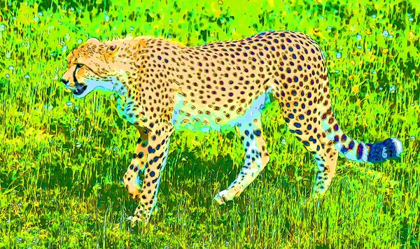 Pop Art Leopard Icon Color Spots — Photo