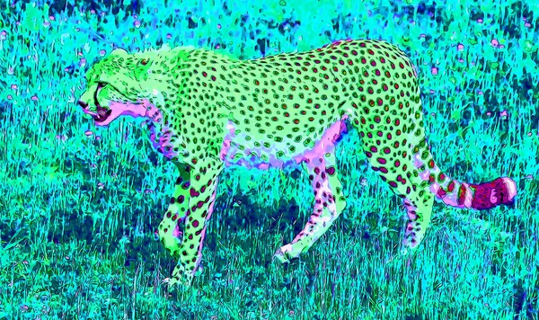 Pop Art Leopard Icon Color Spots — 图库照片