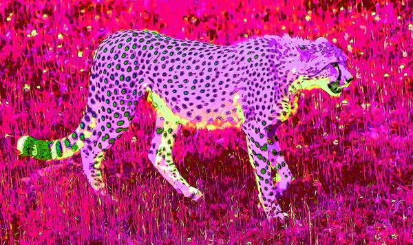 Pop Art Leopard Icon Color Spots — Photo