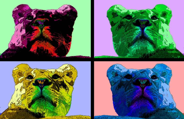 Aslan Işareti Illüstrasyon Renk Lekeli Pop Art Arkaplan Simgesi — Stok fotoğraf