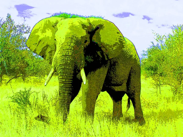 Ícone Elefante Arte Pop Com Manchas Cor — Fotografia de Stock