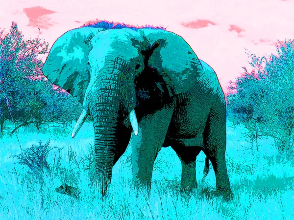 Pop Art Elephant Icon Color Spots — Stock Photo, Image