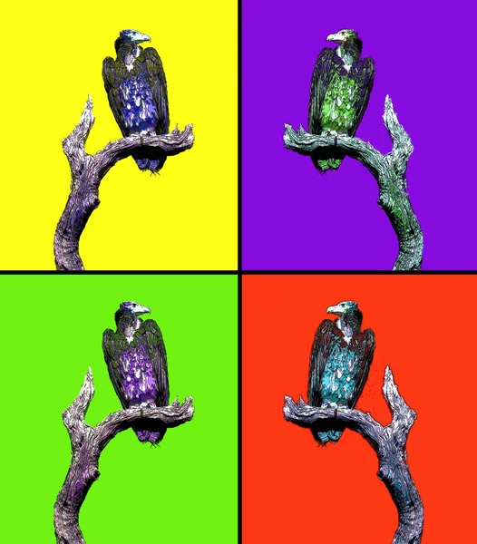 Vulture Scavenging Birds Sign Illustration Pop Art Background Icon Color — стоковое фото