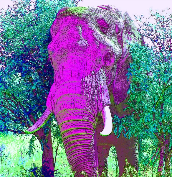 Ícone Elefante Arte Pop Com Manchas Cor — Fotografia de Stock