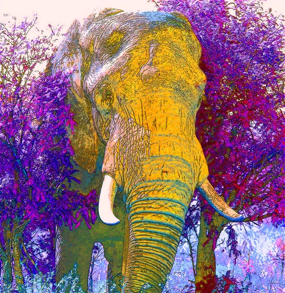 Ícone Elefante Arte Pop Com Manchas Cor — Fotografia de Stock